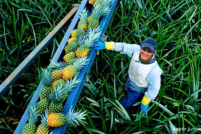 1618799461213044.png 1_结果.png