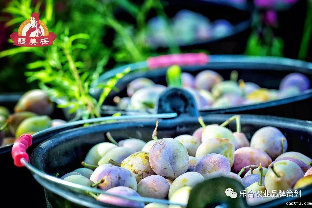 1621584293236967.jpg 1621584293236967.jpg