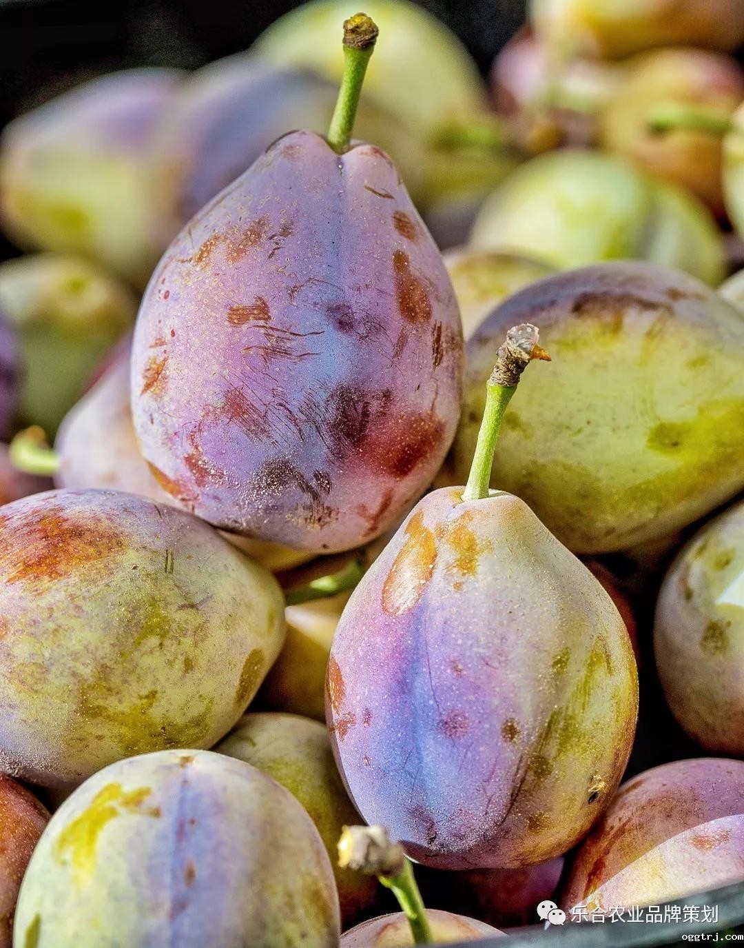 1621584355502974.jpg 1621584355502974.jpg