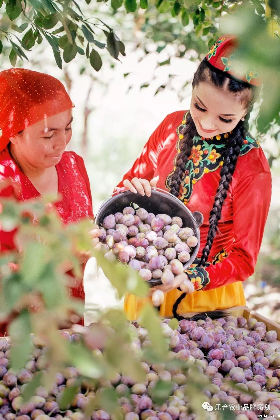 1621584384141628.jpg 1621584384141628.jpg