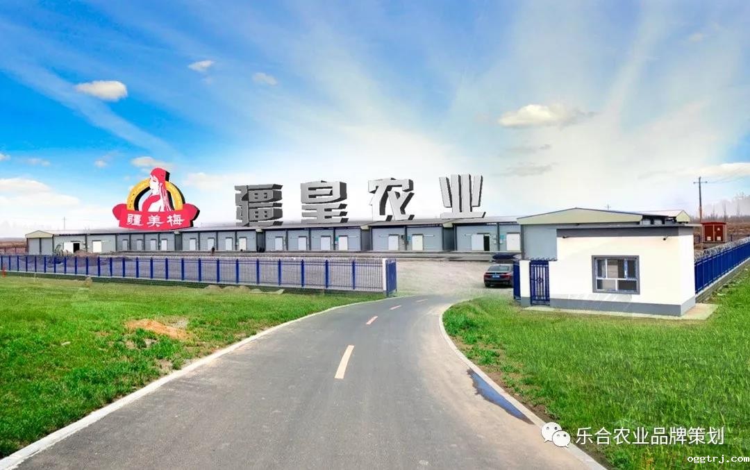 1621584749503280.jpg 1621584749503280.jpg