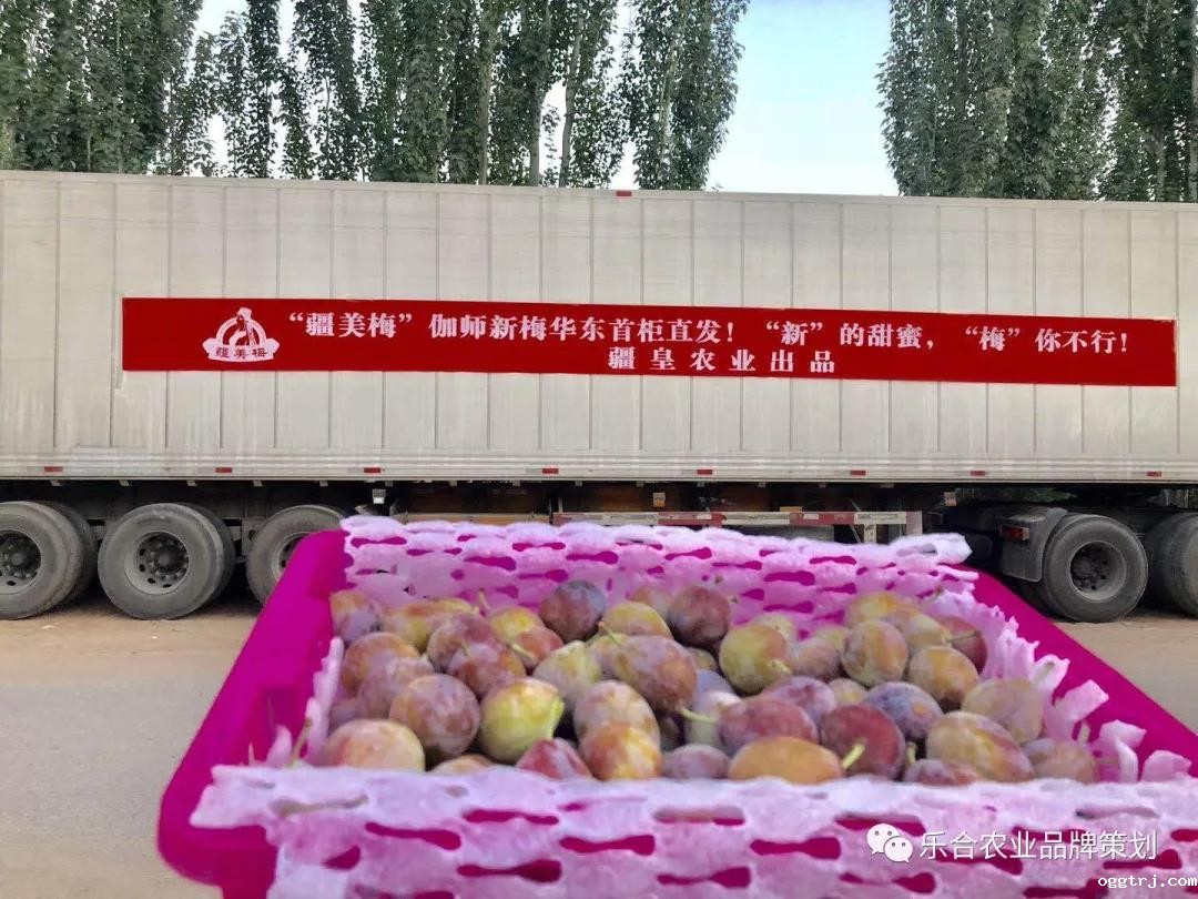 1621584860519454.jpg 1621584860519454.jpg