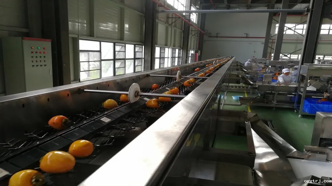 1622536866757033.jpg 1622536866757033.jpg