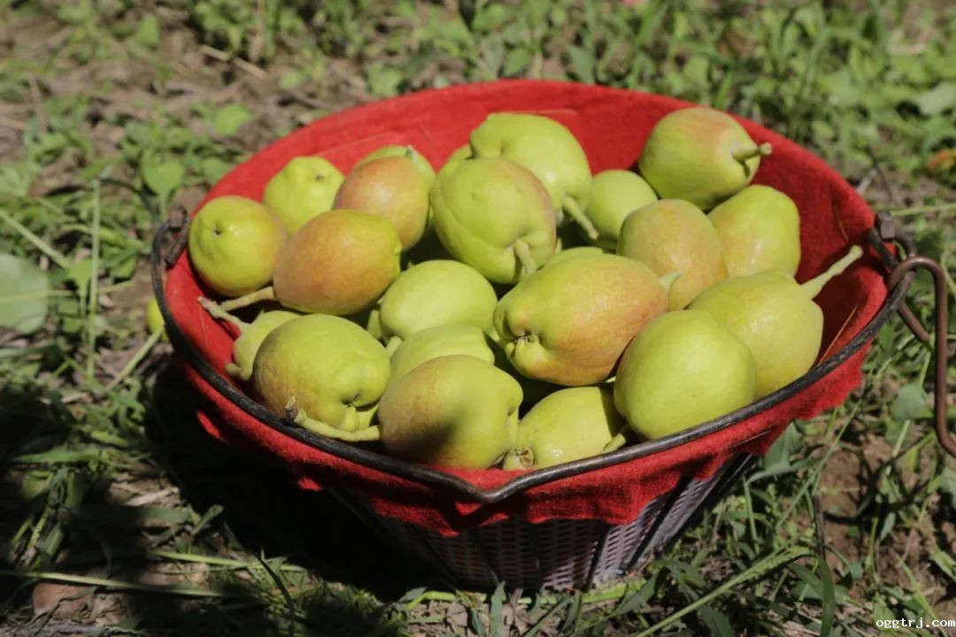 1624181846679349.jpg 1.jpg