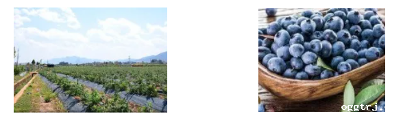 1624251469716073.png 微信图片_20210621125741.png