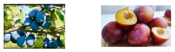 1624251622274374.png 微信图片_20210621125843.png