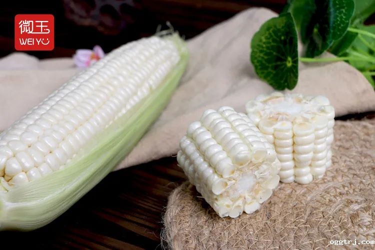 1624260417425275.jpg ia_1100000003.jpg