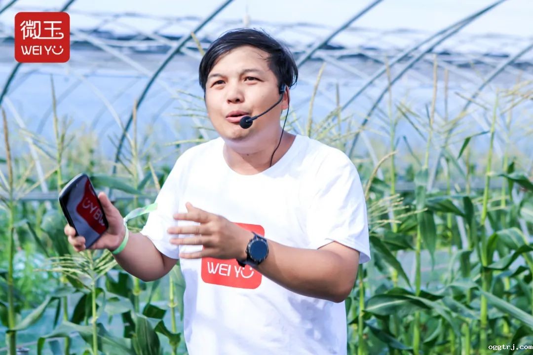 1625155921798319.jpg ia_1000000010.jpg