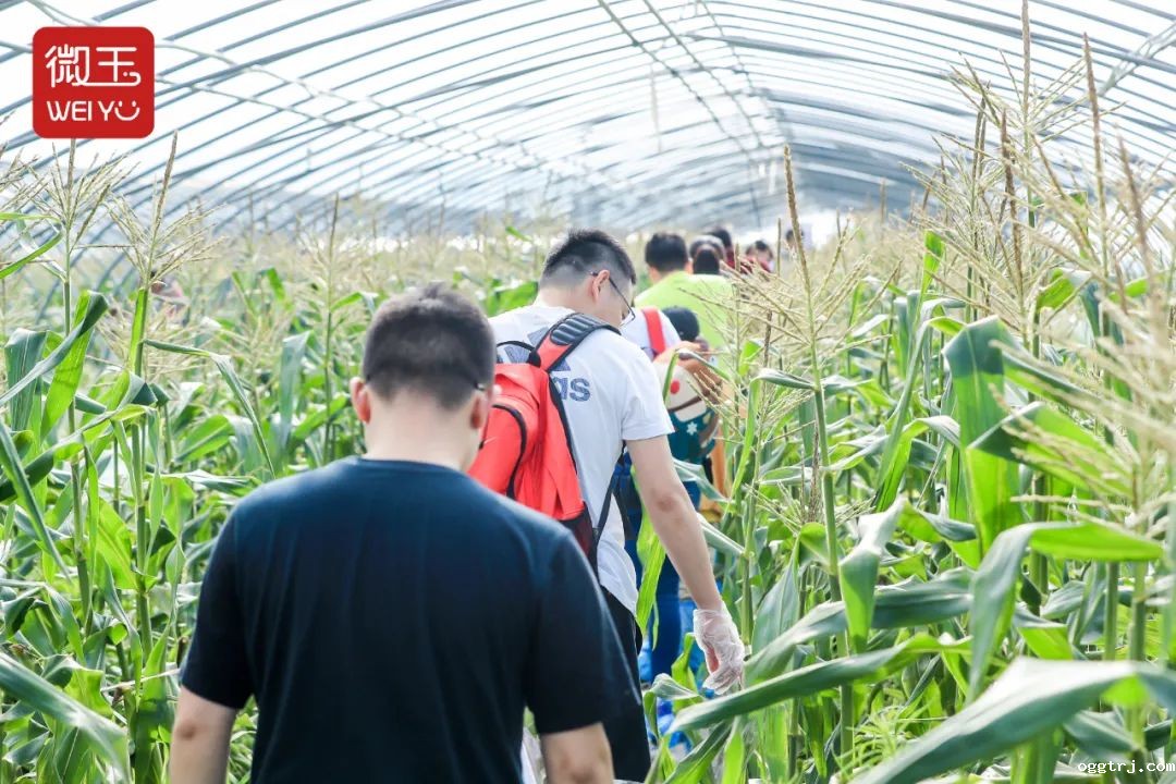 1625155926810598.jpg ia_1000000011.jpg