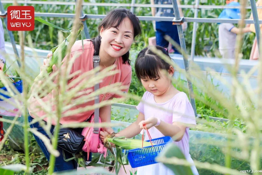 1625155955572956.jpg ia_1000000015.jpg