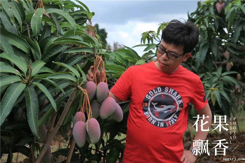 1625321380757621.jpg ia_100000004.jpg