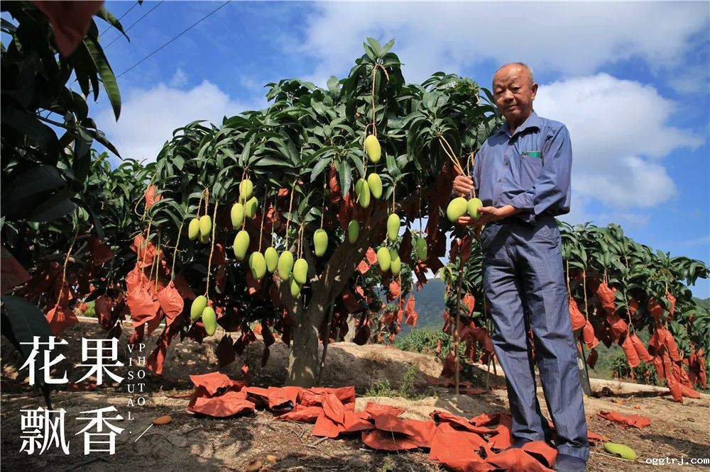 1625321388778373.jpg ia_100000546.jpg