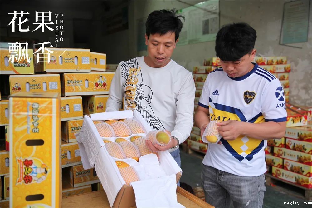 1625321406258249.jpg ia_100000549.jpg