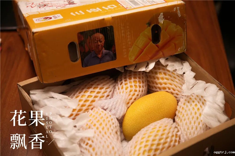 1625321412669775.jpg ia_100000550.jpg