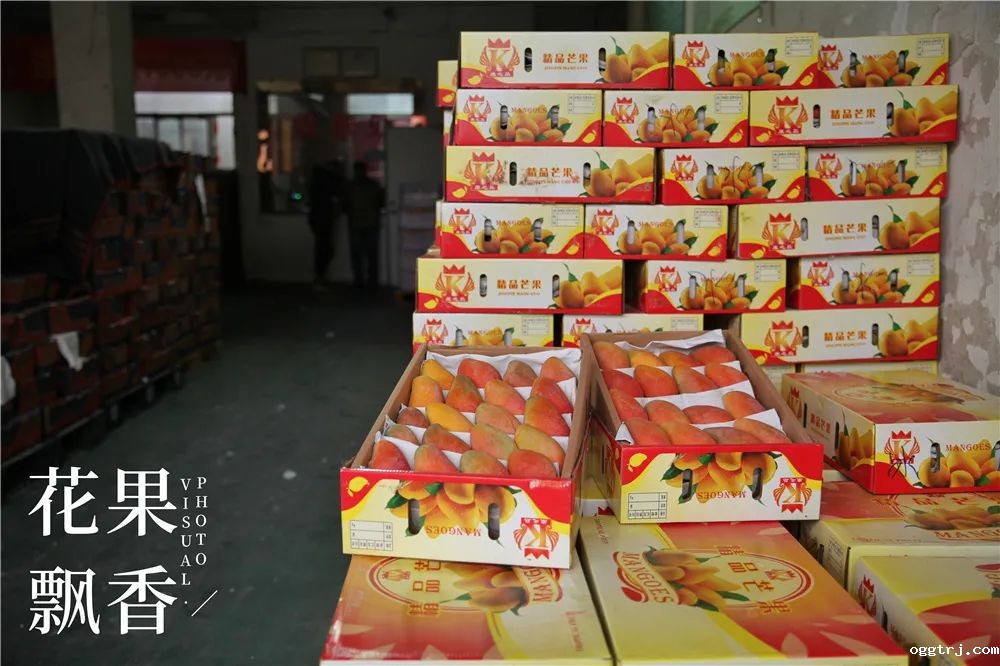 1625321418636675.jpg ia_100000010.jpg