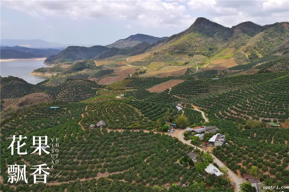 1625321437133794.jpg ia_100000554.jpg