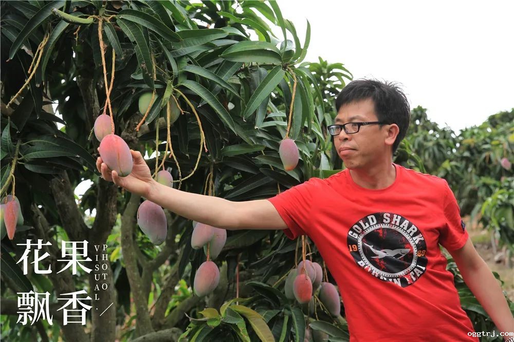 1625321523301868.jpg ia_100000555.jpg