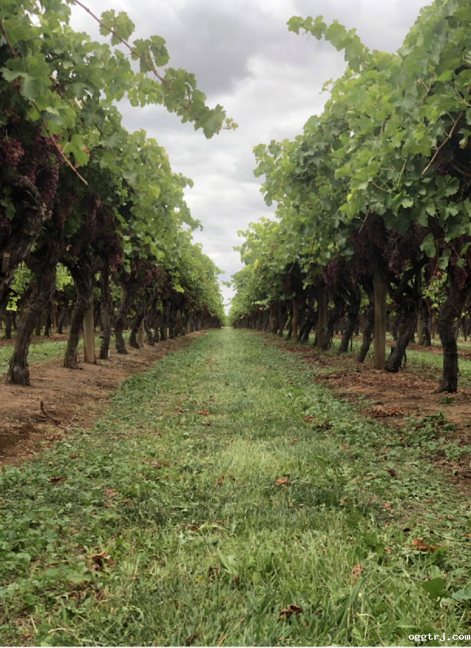 1625887382788535.png ia_100000008.png