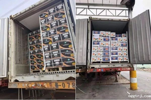 1625888956955967.jpg ia_1900000003.jpg