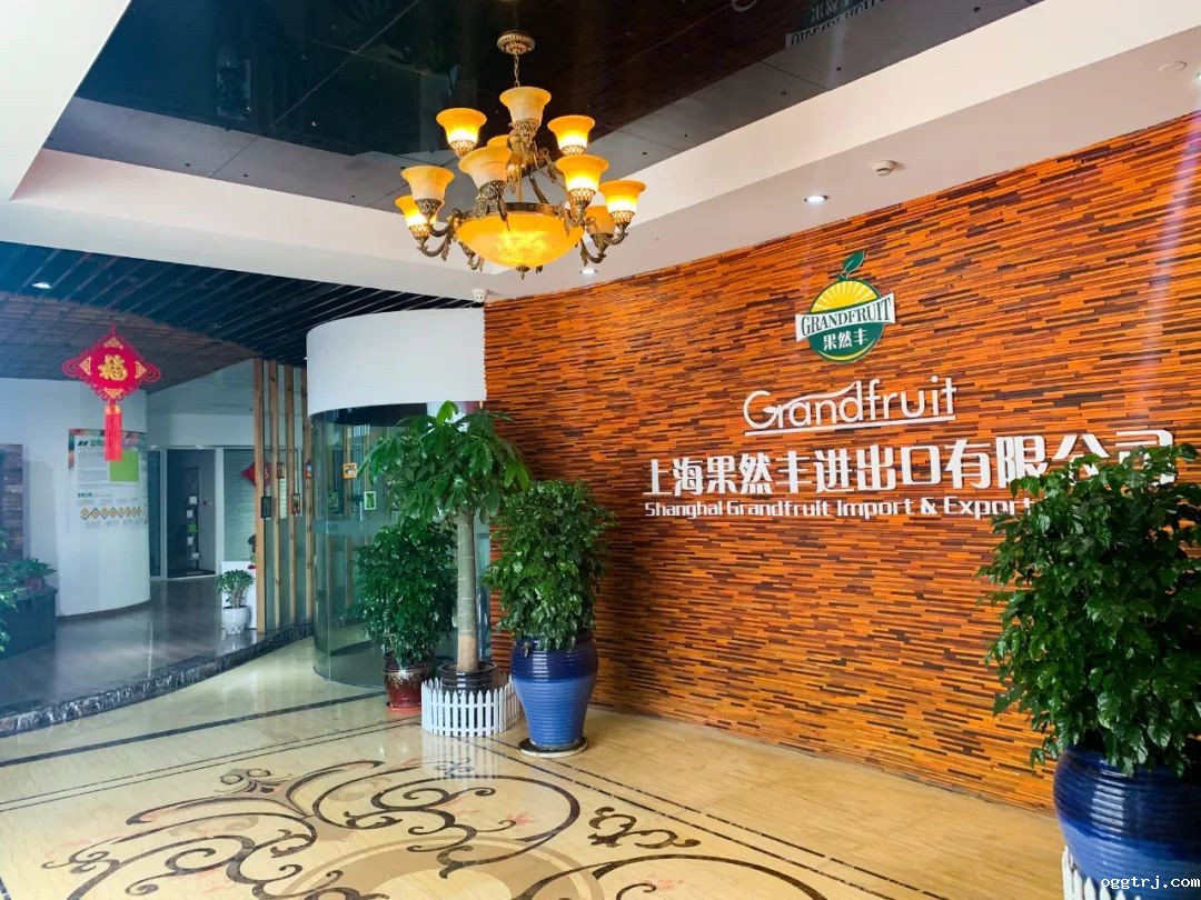 1626099342573107.jpg ia_1300000420.jpg