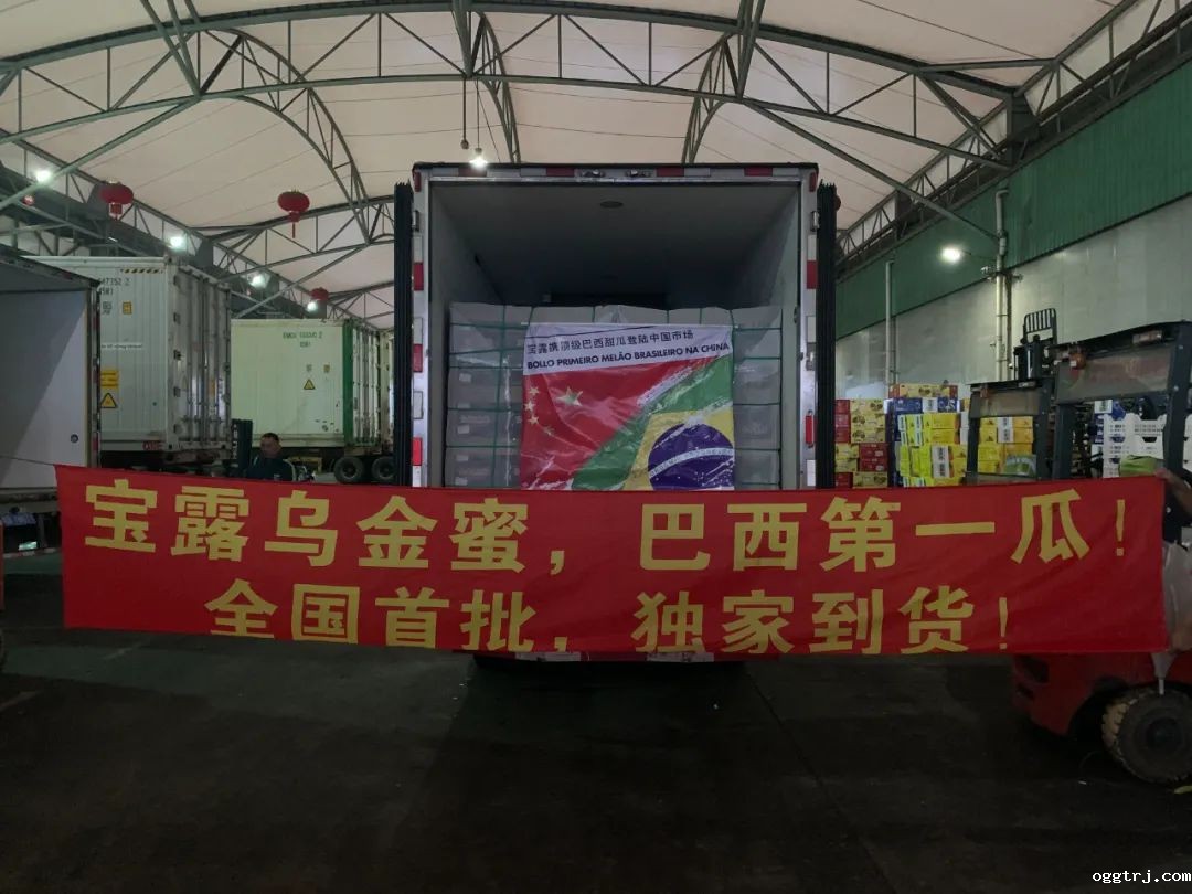 1626099399458840.jpg ia_1300000421.jpg