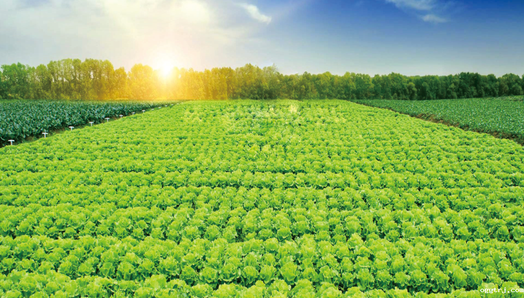 1626407624191891.png ia_300000004.png