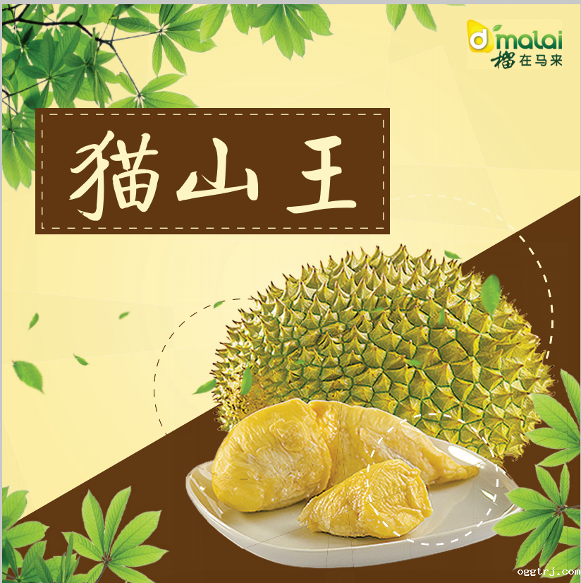 1626407643994016.png ia_300000005.png