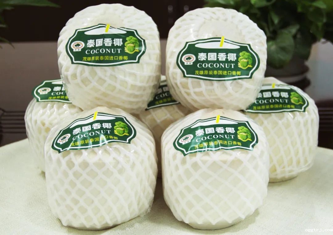 1626407793576945.jpg ia_300000007.jpg