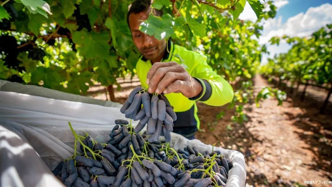 1626659358624314.jpg ia_100000652.jpg