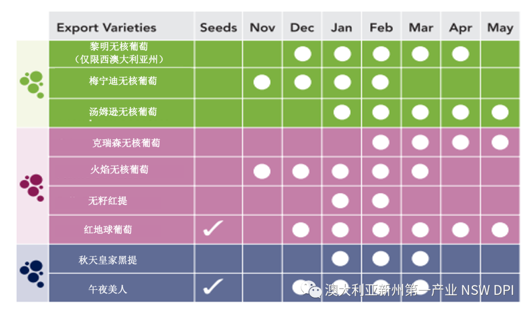 1626660120748619.png ia_100000654.png