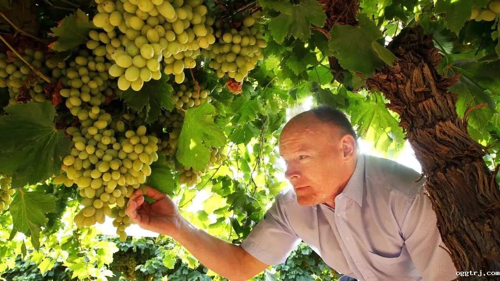 1626660148936392.jpg ia_100000012.jpg