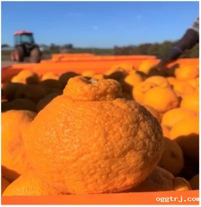 1626681654579932.jpg ia_900000802.jpg