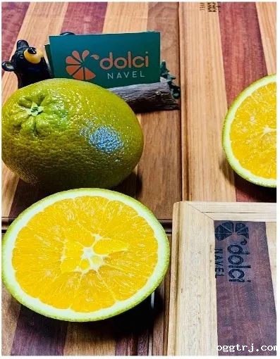 1626681677675773.jpg ia_900000803.jpg