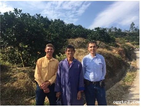 1626681780822787.jpg ia_900000010.jpg