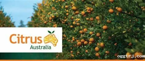 1626749504695024.jpg ia_100000002.jpg