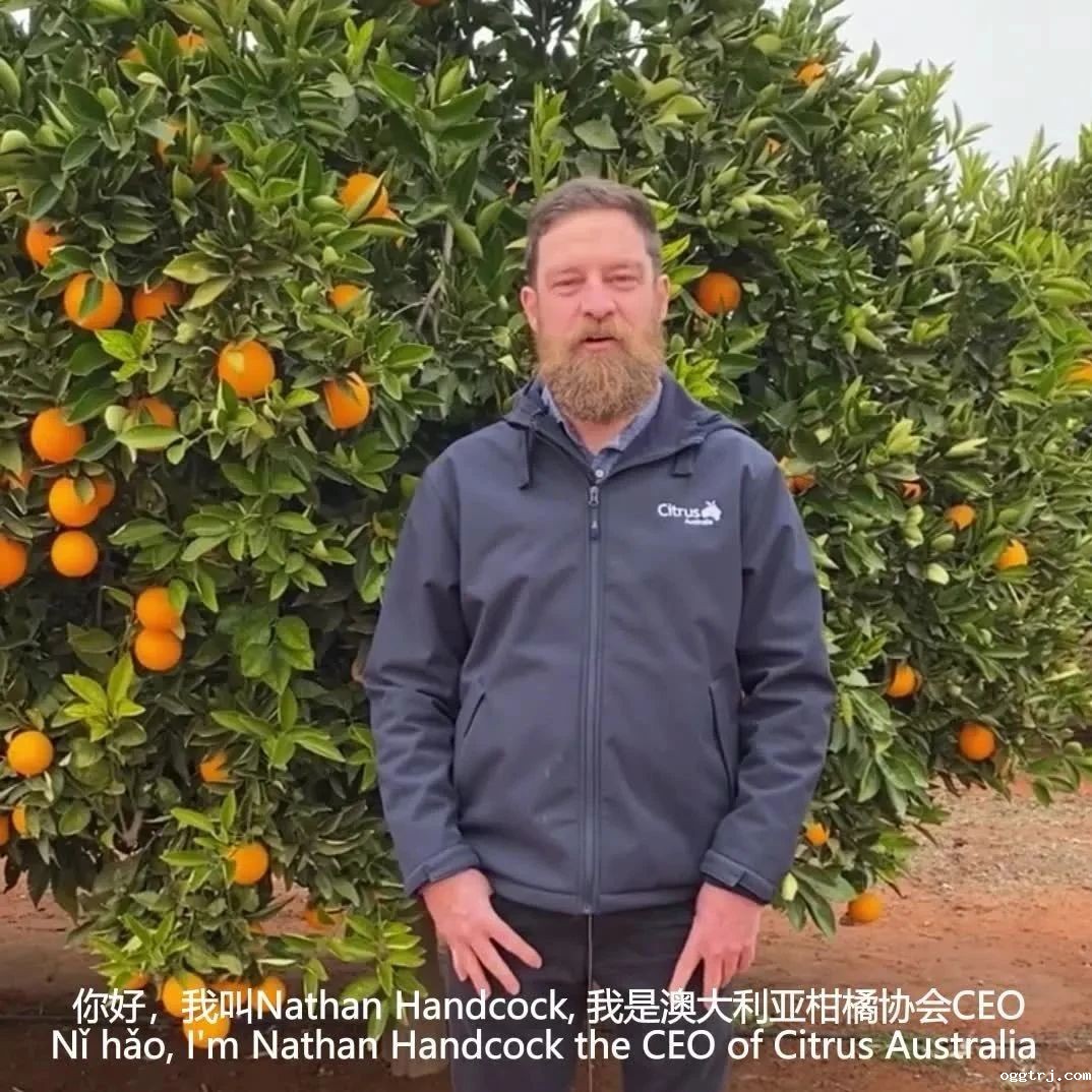 1626749557703269.jpg ia_200000010.jpg