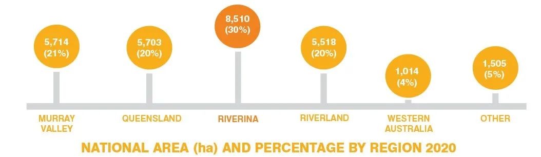 1626749603611226.jpg ia_100000718.jpg