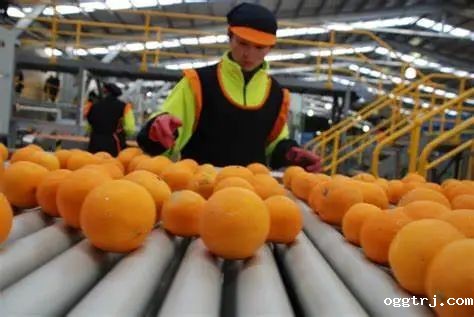 1626749619132953.jpg ia_100000719.jpg