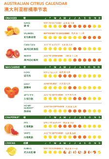 1626749653633767.png ia_100000720.png