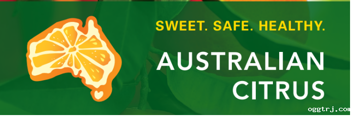 1626749664227154.png ia_100000721.png