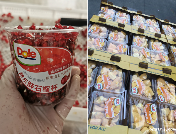 1626850105253346.png ia_100000458.png