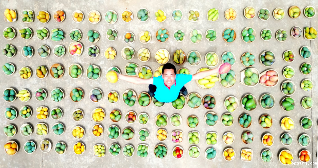 1627292758112773.png ia_300000002.png