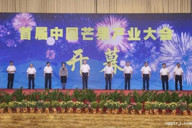 1627292785618975.jpg ia_300000561.jpg