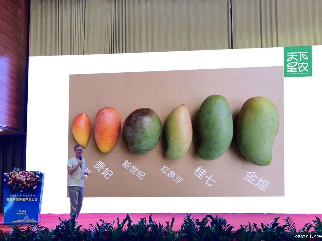 1627292838193143.jpg ia_300000004.jpg