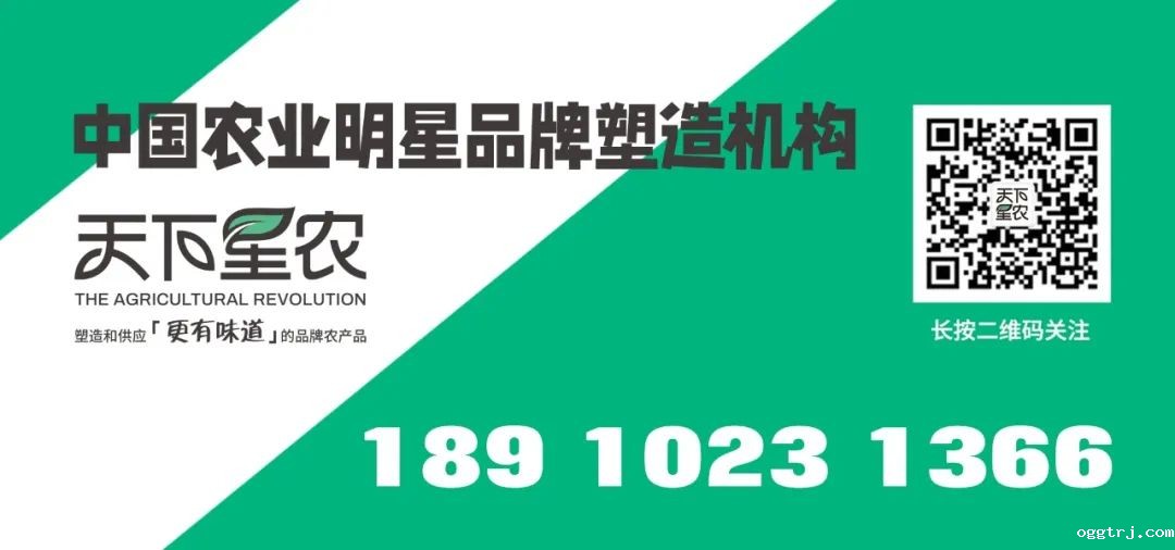 1627292915123975.jpg ia_300000007.jpg