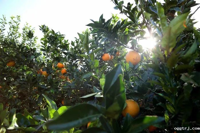 ia_100000013 (1).jpg