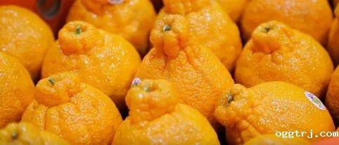 ia_100000015 (1).jpg