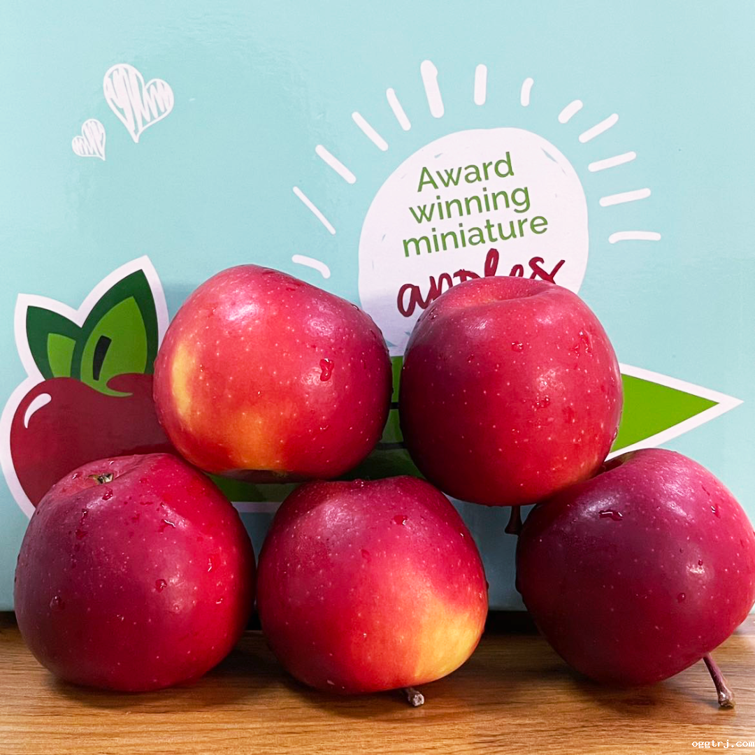 1627966769218464.png ia_500000647.png