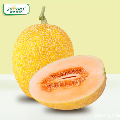 1628054862728078.png ia_100000003.png