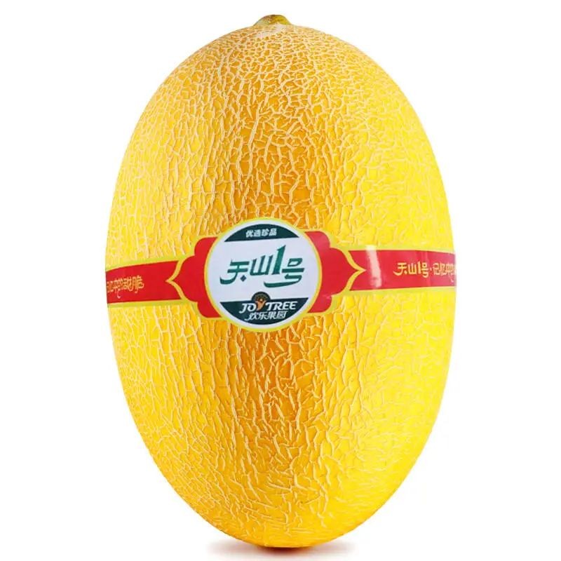 1628054888151557.jpg ia_100000797.jpg